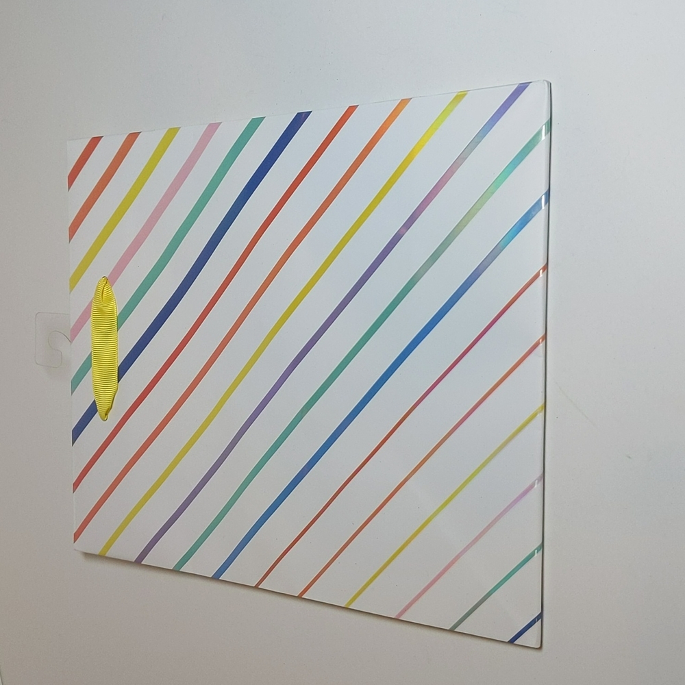 Gift Bag - Colored Stripes - Large'ish